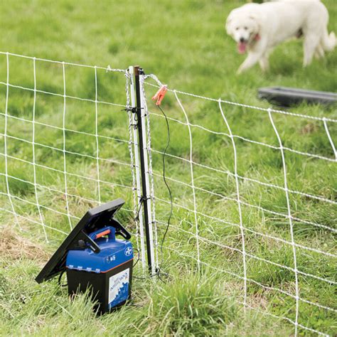 box to keep animals from being killed by electric fence|electric fence wire.